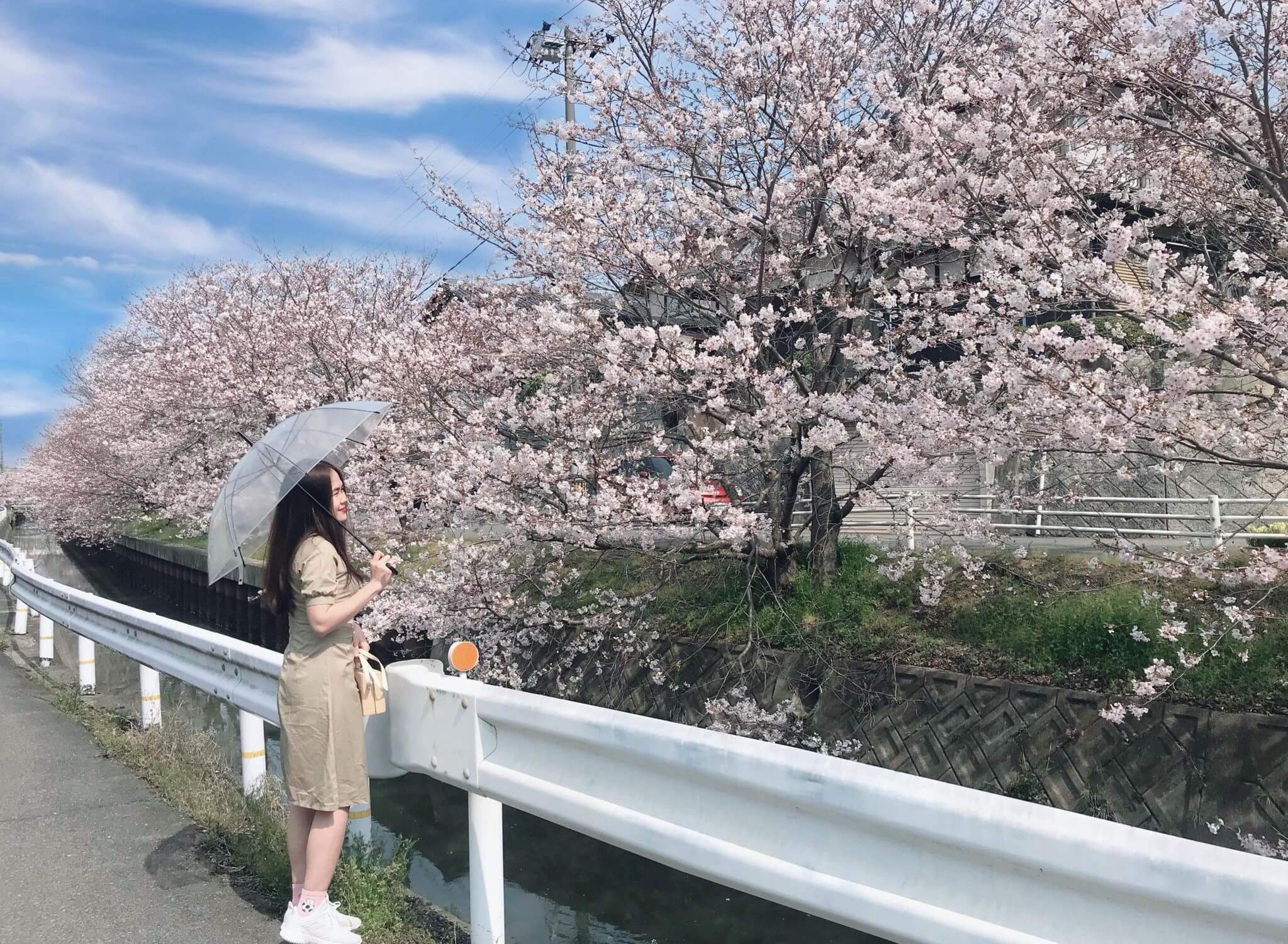 Gửi những bạn sắp bước vào cuộc sống xa nhà: Nhật Bản sẽ là một chặng đường không hề dễ dàng, mình tin là như thế