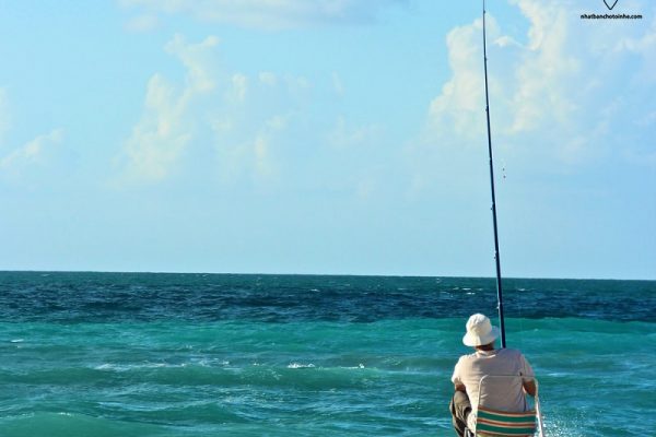 TOP 5 địa chỉ bán cần câu Nhật cũ tại Hà Nội chất lượng