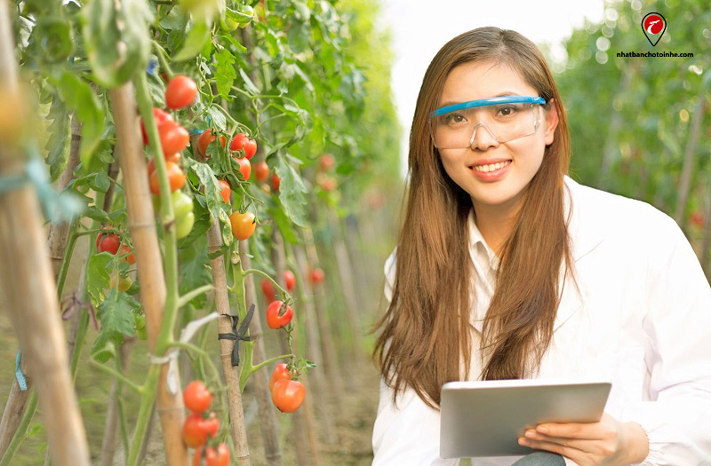 TOP 10 đơn hàng kỹ sư Nhật Bản tuyển dụng tốt nhất hiện nay TOP 10 đơn hàng kỹ sư Nhật Bản tuyển dụng tốt nhất hiện nay