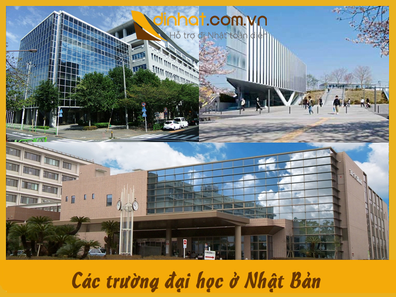 Các trường đại học ở Nhật Bản: Hướng dẫn lựa chọn và thông tin cần biết