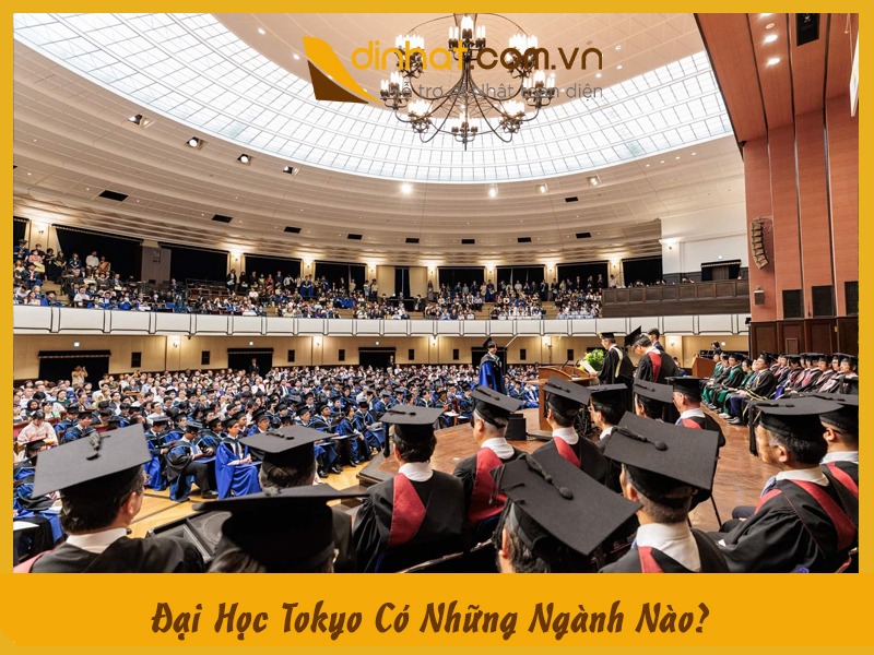 Đại Học Tokyo Có Những Ngành Nào Khám Phá Chi Tiết A-Z Đại Học Tokyo Có Những Ngành Nào Khám Phá Chi Tiết A-Z