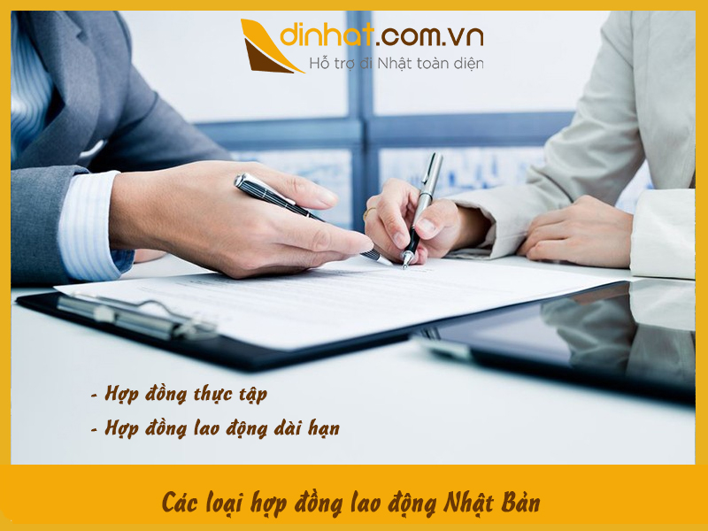 Hop dong loa dong nhat ban co 2 loai
