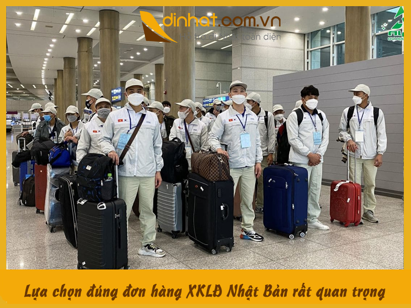 Lua chon dung don hang xkld ra quan trong