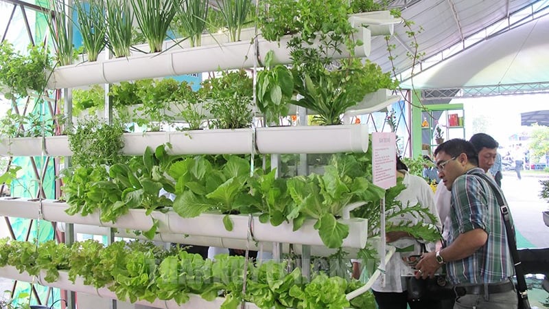 Khám Phá Top 10 Trung Tâm Tiếng Nhật Tại TP.HCM - Sáp Nhập Bà Rịa Vũng Tàu, Bình Dương Và Nhiều Khu Vực Phía Nam