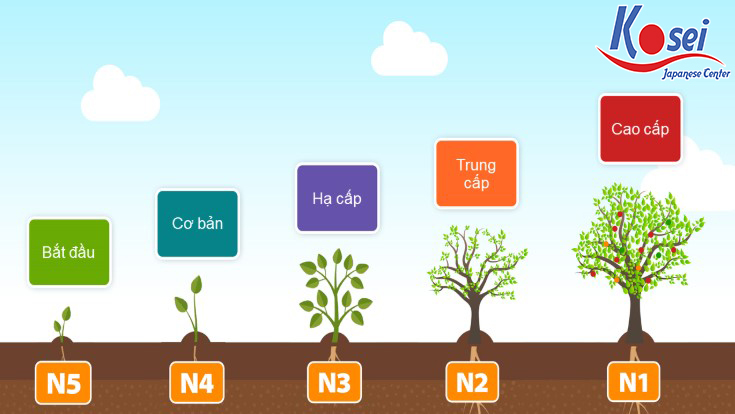 Top 10 trung tâm tiếng Nhật tại Khánh Hòa (sáp nhập Ninh Thuận – Khánh Hòa) - Địa chỉ học tiếng Nhật tin cậy, giúp bạn chinh phục tiếng Nhật dễ dàng hơn