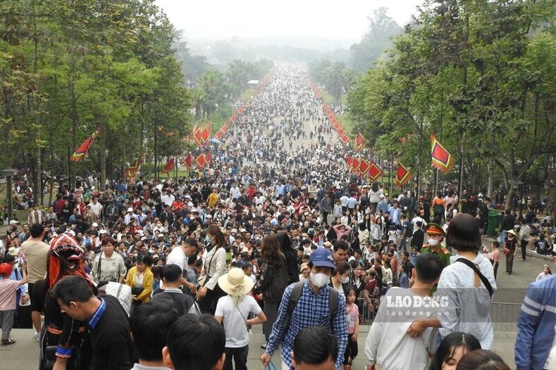 Top 10 trung tâm tiếng Nhật tại Phú Thọ - Vĩnh Phúc  Hòa Bình Sát Cánh Đưa Bạn Đến Với Ngôn Ngữ Mặt Trời