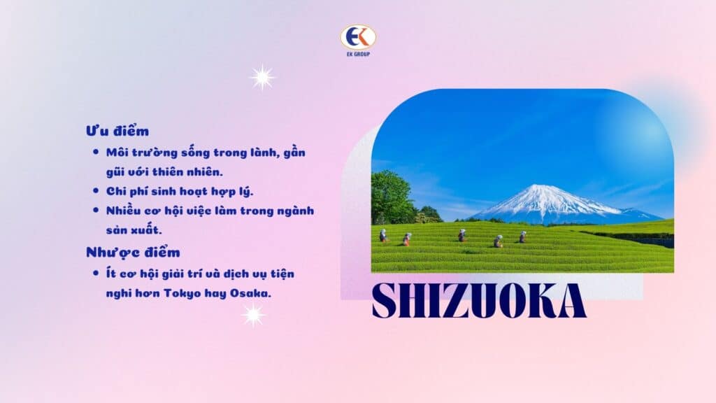 Top 10 trung tâm xuất khẩu lao động Nhật Bản tại Thanh Hóa - Cầu Nối Vươn Xa Đến Đất Nước Mặt Trời Mọc