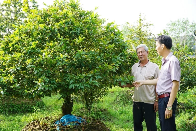 TOP 10 trung tâm du học Nhật Bản tại Vĩnh Long – Điểm đến tin cậy cho sinh viên miền Tây TOP 10 trung tâm du học Nhật Bản tại Vĩnh Long – Điểm đến tin cậy cho sinh viên miền Tây