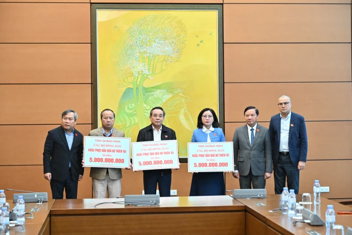 Top 10 trung tâm tiếng Nhật tại Khánh Hòa (sáp nhập Ninh Thuận – Khánh Hòa) – Địa chỉ học tiếng Nhật tin cậy, giúp bạn chinh phục tiếng Nhật dễ dàng hơn