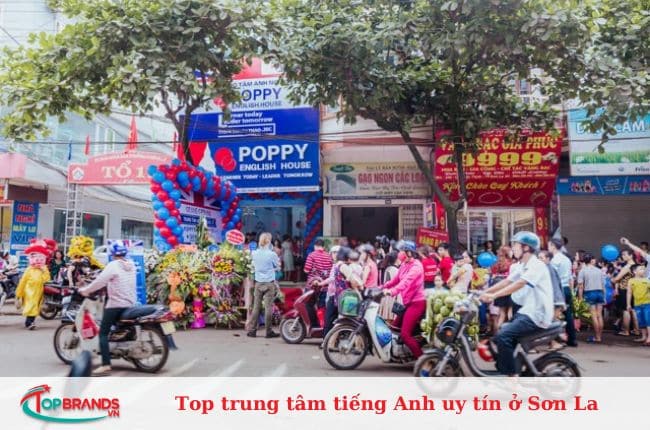 Top 10 trung tâm tiếng Nhật tại Sơn La – Chọn lọc những địa chỉ uy tín giúp bạn chinh phục tiếng Nhật dễ dàng