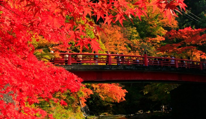 Du học Nhật Bản tại Aomori