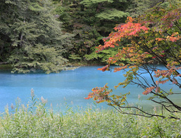 Du học Nhật Bản tại Fukushima Du học Nhật Bản tại Fukushima