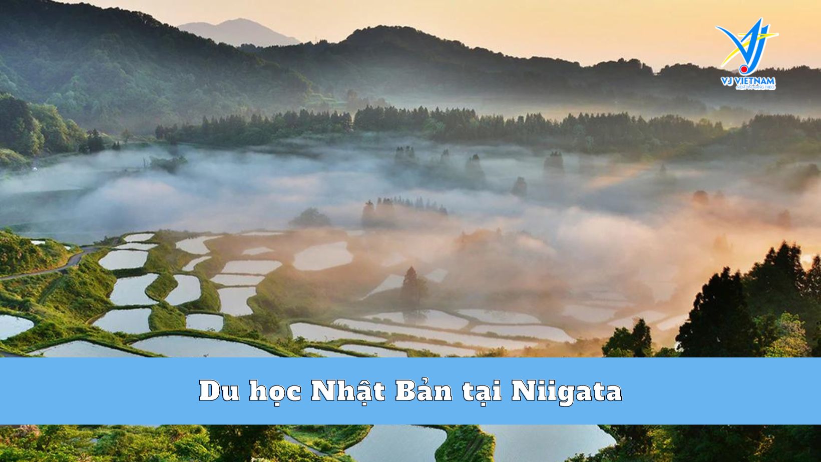 Du học Nhật Bản tại Kumamoto
