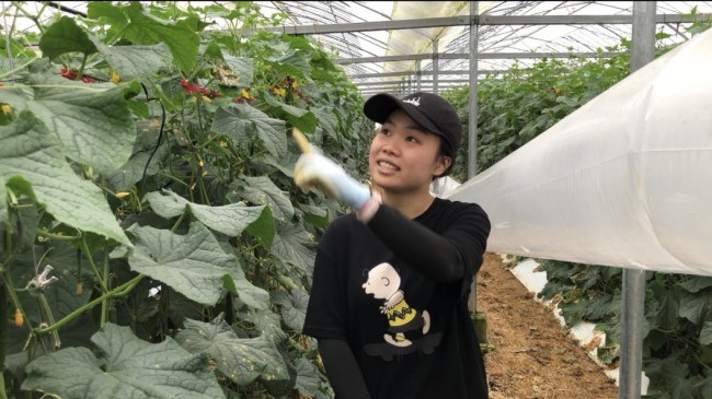 Du học Nhật Bản tại  Miyazaki