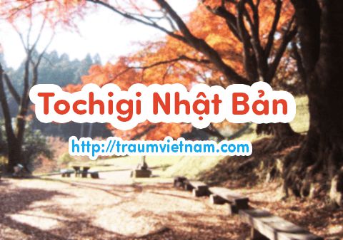 Du học Nhật Bản tại Tochigi Du học Nhật Bản tại Tochigi
