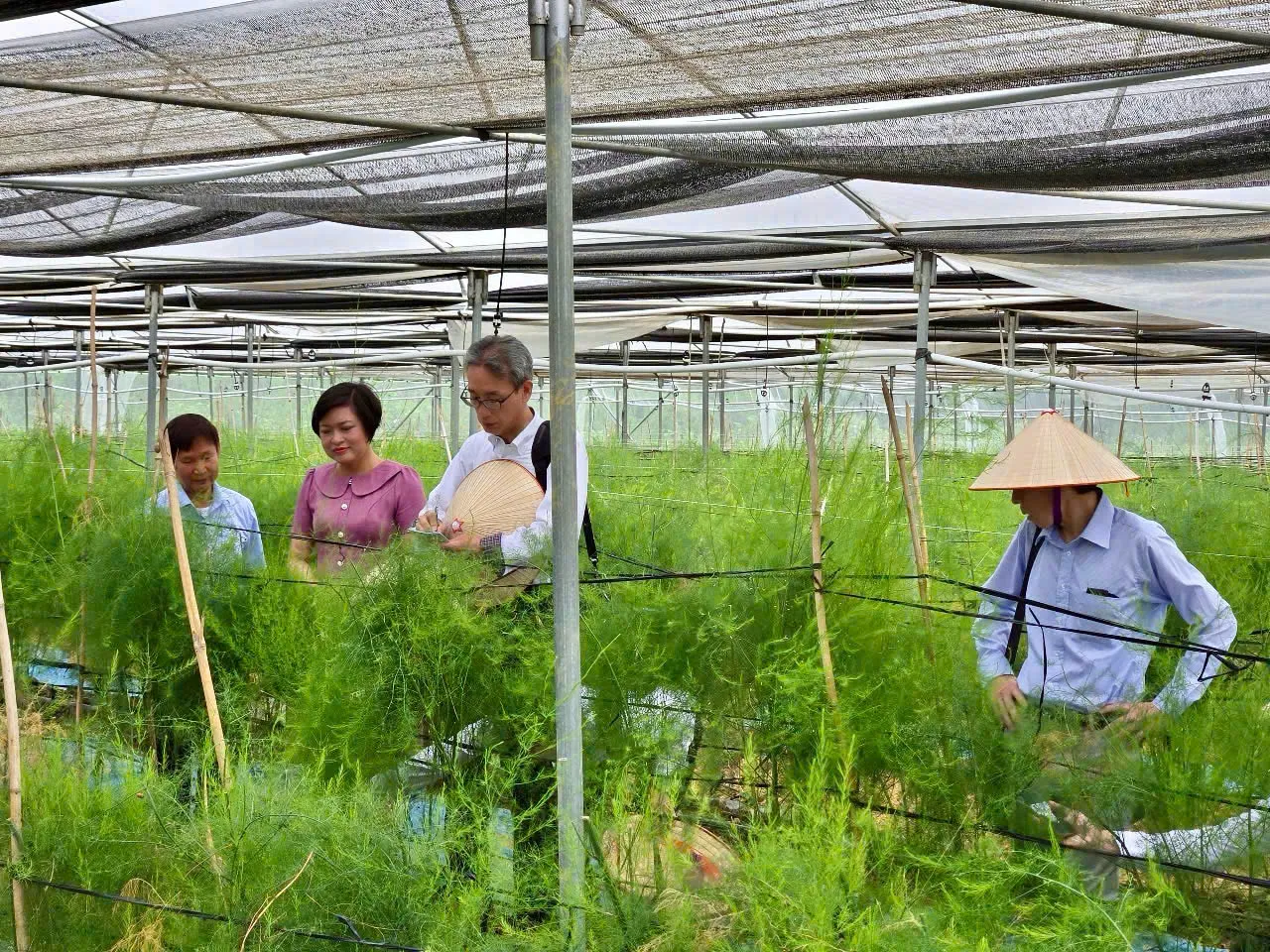 Du học Nhật Bản tại Tottori