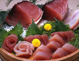 Du học Nhật Bản tại  Wakayama