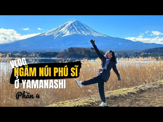 Du học Nhật Bản tại Yamanashi Du học Nhật Bản tại Yamanashi